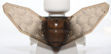 Lego Trans Brown Minifigure Wings Insect Lenticular with Neck Bracket